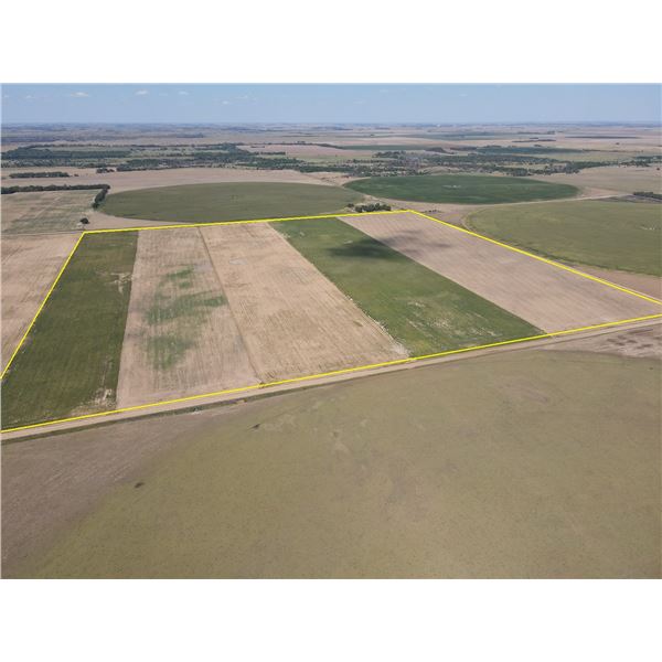 158+/- Acres Dryland and Trees