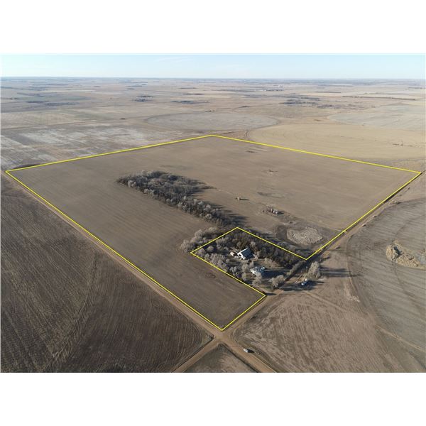 155+/- Acres Pratt Co Dryland