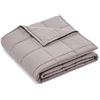 Image 1 : NEW REPACK AMZ BASICS 20LB QUEEN WEIGHTED BLANKET