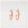 Image 1 : NEW ROSE GOLD PLATED ENAMEL INLAY EARRINGS