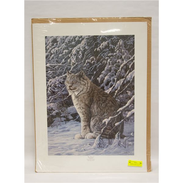 UNFRAMED LIMITED EDITION PRINT HARE BEWARE NICK