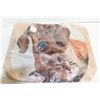 Image 1 : NEW DOG AND CAT BEACH BAG