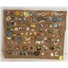 Image 1 : LOT OF ABOUT 120 NATURE THEMED PINS