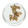 Image 1 : Gold Nuggets 4.67 Grams Total Weight