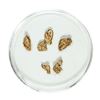 Image 1 : Gold Nuggets 1.80 Grams Total Weight