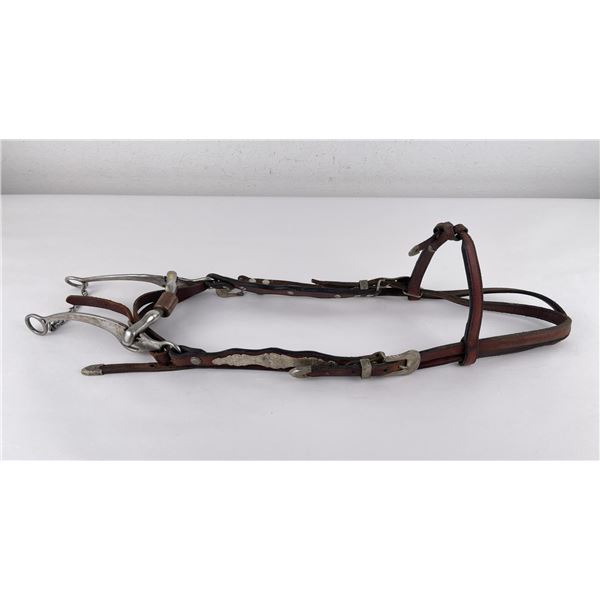 Silver Mounted Horse Headstall and Bit
