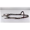 Image 1 : Silver Mounted Horse Headstall and Bit