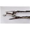 Image 2 : Silver Mounted Horse Headstall and Bit