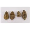 Image 1 : Lot of Fossil Moroccan Trilobites #5