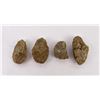 Image 2 : Lot of Fossil Moroccan Trilobites #5