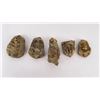 Image 1 : Lot of Fossil Moroccan Trilobites #1