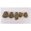 Image 2 : Lot of Fossil Moroccan Trilobites #1