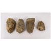 Image 1 : Lot of Fossil Moroccan Trilobites #2