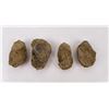Image 2 : Lot of Fossil Moroccan Trilobites #3