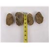 Image 3 : Lot of Fossil Moroccan Trilobites #3