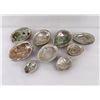 Image 1 : Collection of Abalone Shells