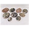 Image 2 : Collection of Abalone Shells