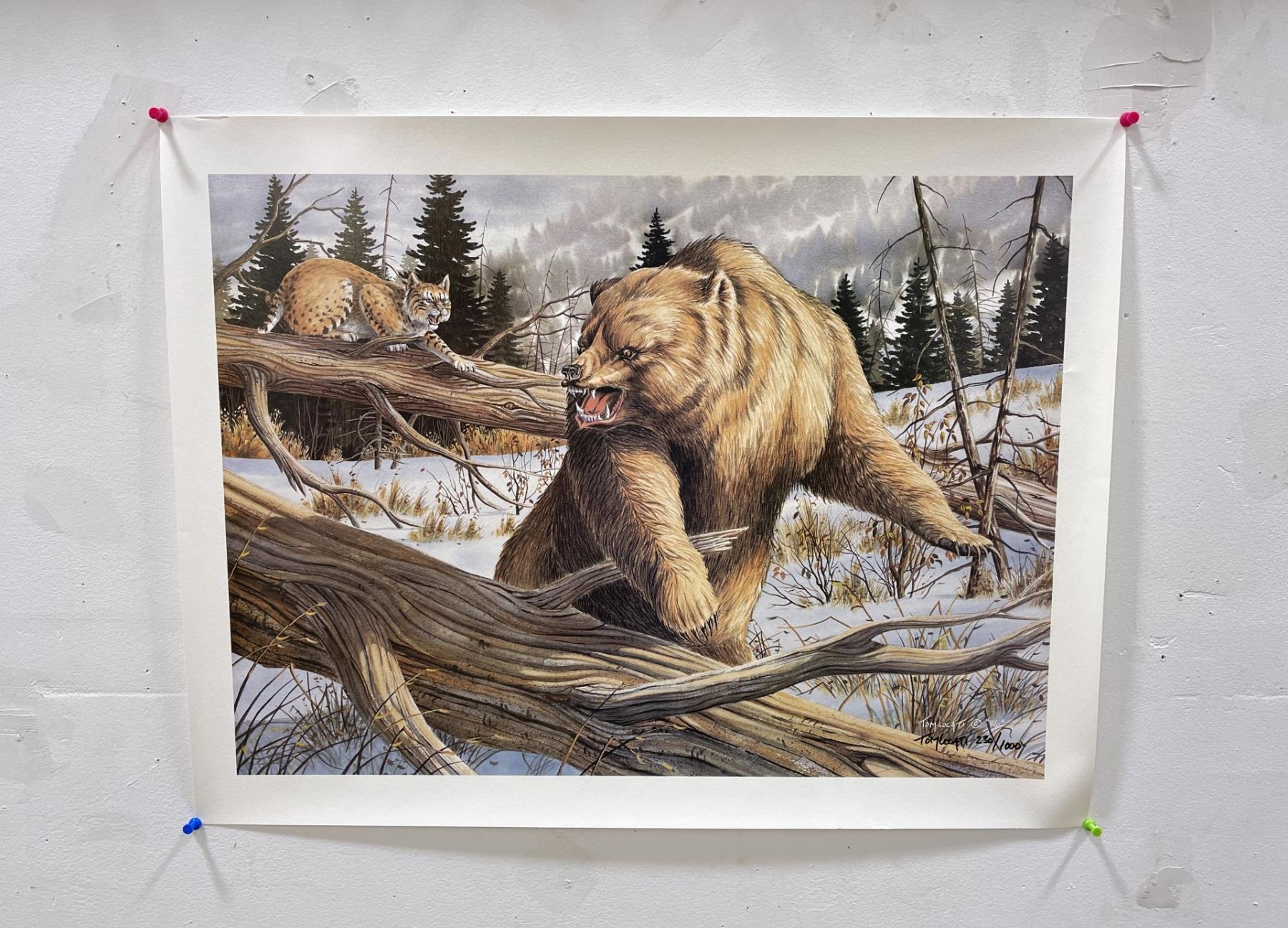 Tom Locati Montana Challenge Trophy Print
