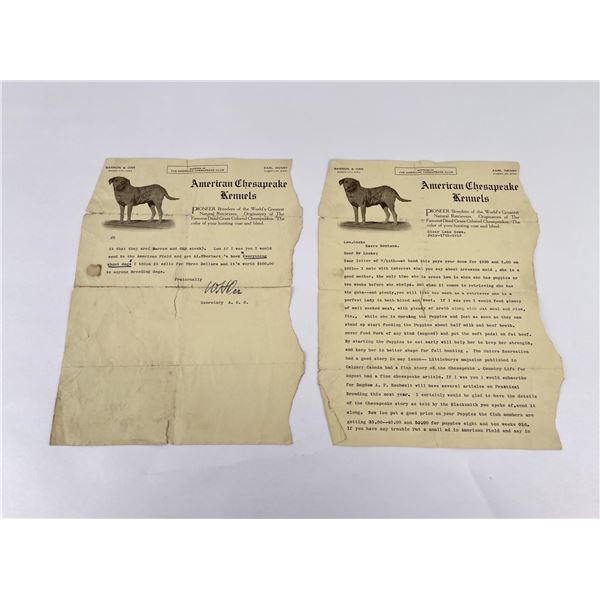 American Chesapeake Kennels Dog Letter