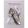 Image 9 : Sterling Silver Souvenir Spoons Indians