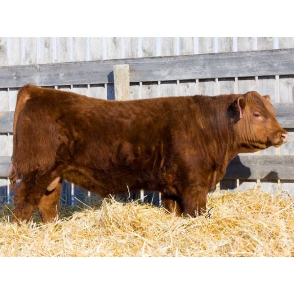 RED RCR CRAFTSMAN 10K