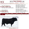 Image 2 : RCR THUNDER 12K