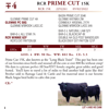 Image 2 : RCR PRIME CUT 15K