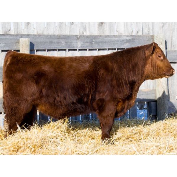 RED RCR CRAFTSMAN 28K