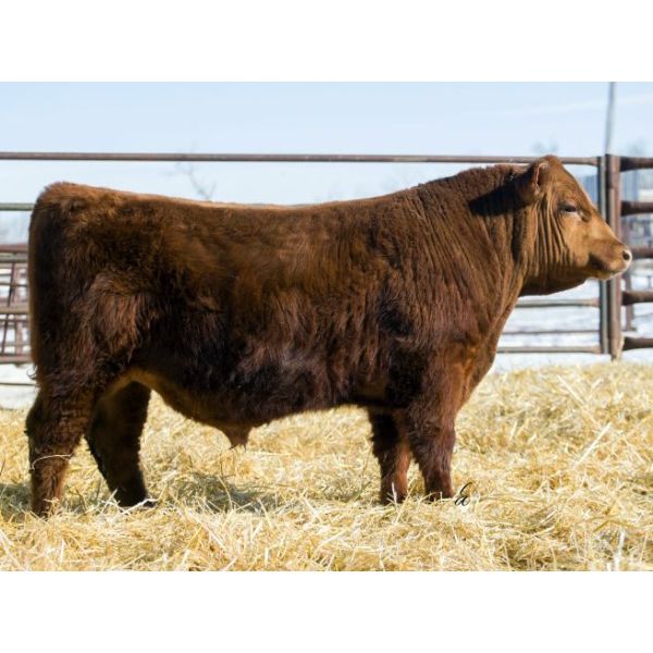 RED RCR CRAFTSMAN 56K