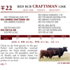 Image 2 : RED RCR CRAFTSMAN 126K