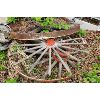 Image 1 :  NO RESERVE Vintage wagon wheels