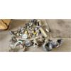 Image 1 : NO RESERVE Collection of misc vintage rad caps , gas caps and Studebaker carburetor.