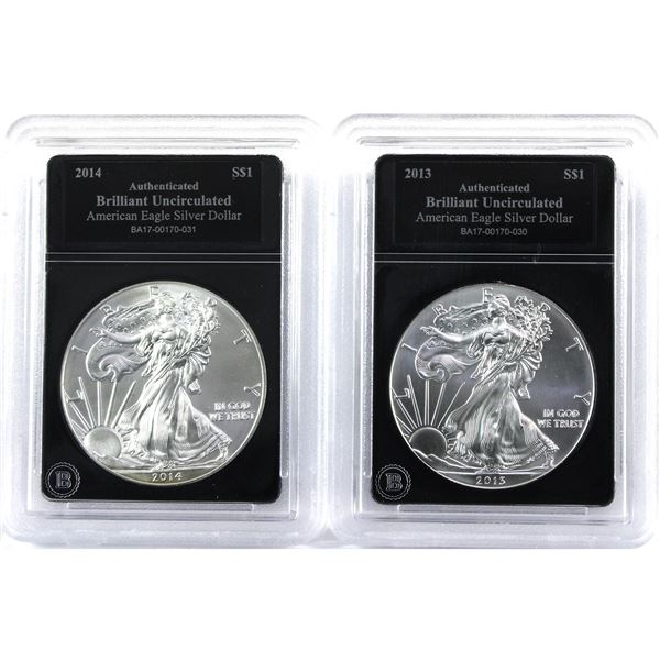2013 & 2014 USA 1oz .999 Fine Silver Eagles in Bradford Mint Authenticated Hard Plastic Slabs. 2pcs 
