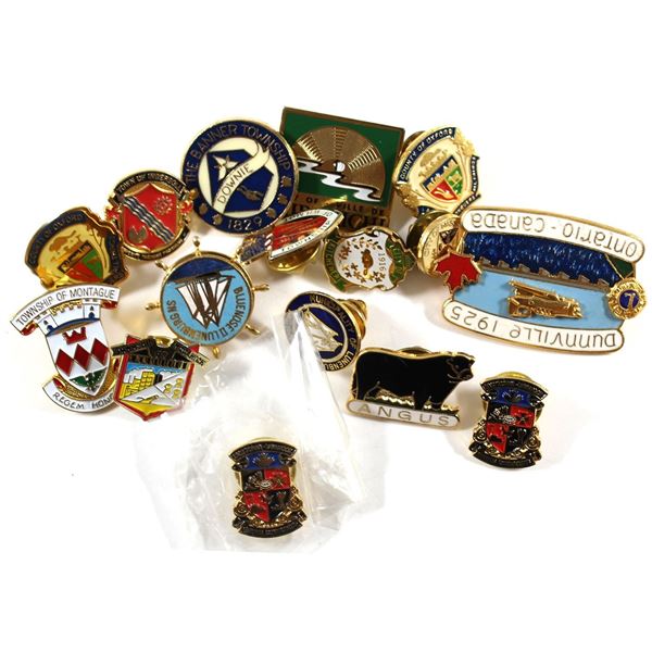 Estate Lot of Vintage Lapel Pins. Mainly Township Themed. You will receive 16 Different Pins in this