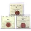 Image 1 : Lot of 3x 2002-2005 Canada 1-cent ICCS Certified MS-66, Red. 3pcs.