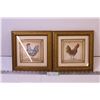 (2) Framed Chicken Art Pictures By James Wiens