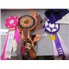 Image 3 : House cat awards ribbons with tote
