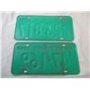 Image 4 : (2) 1969 Saskatchewan license plates