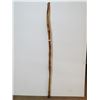 Image 2 : Walking Stick (approx 52")