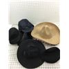 Image 1 : LOT OF VINTAGE HATS