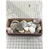 Image 1 : LOT OF VARIOUS SEASHELLS SAND DOLLAR, ABALONE, ETC