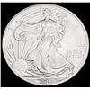 Image 1 : 2010 American Silver Eagle