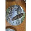 Image 6 : 5 Decorative Plates - Eagles and White Tigers