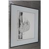 Image 1 : Eagle Print in Frame - 22"x18"