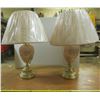 Image 1 : 2 Table Lamps With Shades