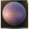 Image 1 : Exercise Ball  - Purple nubbed