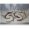 Image 1 : Lot of Deer sheds (5 total)