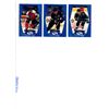 Image 8 : Lot of 30 Starquest Blue Hockey Cards - 1998