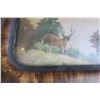 Image 2 : Wildlife Picture on Vintage Convex Frame - 23"x15.5"