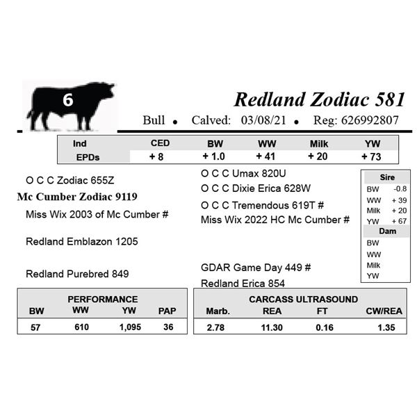 Redland Zodiac 581